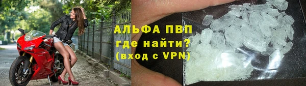 гидра Богданович