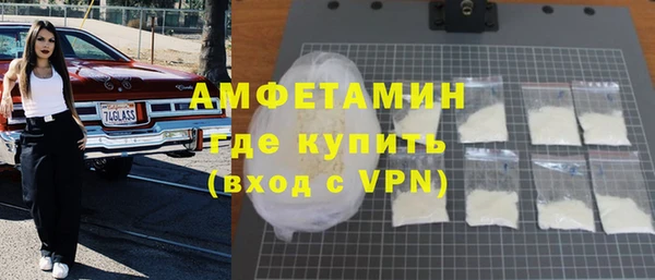 гидра Богданович