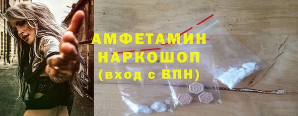 гидра Богданович
