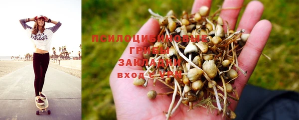 тгк Семикаракорск