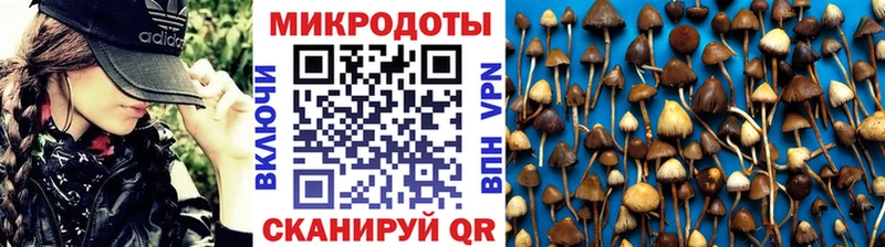 Галлюциногенные грибы Cubensis Губкинский